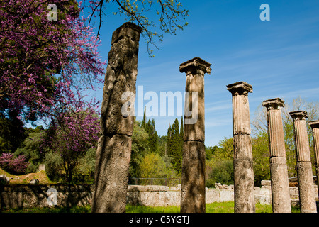 Ancient Olympia,home to Greece's Games 776 BC,Archaeological site & Museum,Gymnasium,Palaestra,Wrestling School,Katakolon,Greece Stock Photo