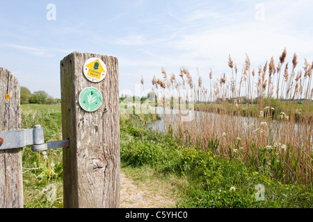 The Thames Path National Trail beside the River Thames at Kelmscott, Oxfordshire, England UK Stock Photo