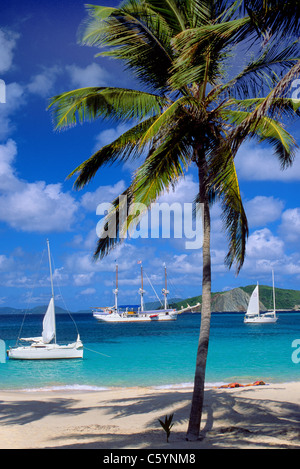 The beautiful bays of Peter Island in the British Virgin Islands (BVIs) entice boaters sailing in the Caribbean Sea to spend some time ashore. Stock Photo