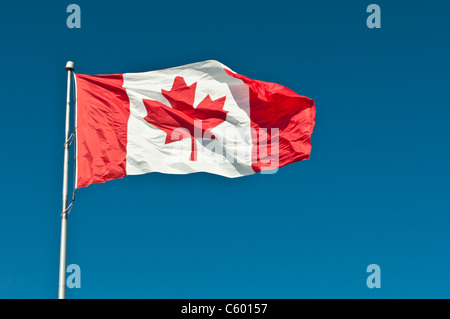 A Canadian flag waves in a strong breeze in front of a clear blue sky Stock Photo
