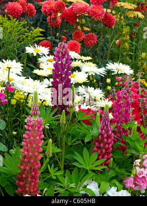 Mixed colourful flower border in a country garden in summer Stock Photo ...