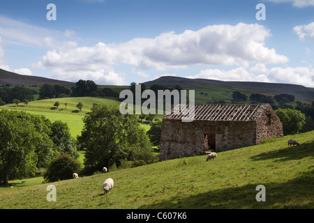 Ramshackle Nateby Barn  Falling down and Roofless, Cumbria, UK Stock Photo