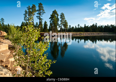 The beautiful Willow Springs Lake on the Mogollon Plateau is one of the most scenic and best spots to fish trout in Arizona. Stock Photo