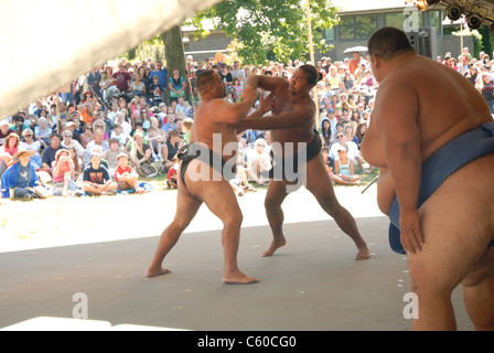 Sumo Wrestling Stock Photo