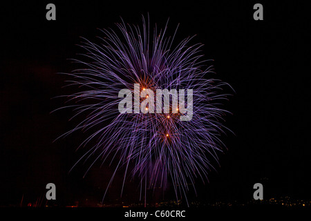 Fireworks in the night sky Stock Photo