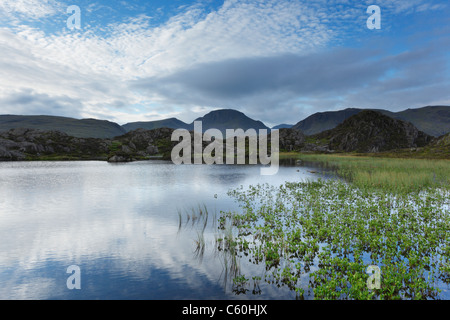 Innominate Tarn on Hay Stacks with Great Gable (centre) in the Distance. Lake District National Park. Cumbria. England. UK. Stock Photo