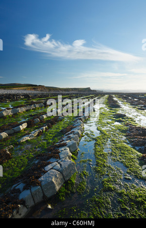 Limestone Ridges at Kilve Beach in The Quantocks. Somerset. England. UK. Stock Photo