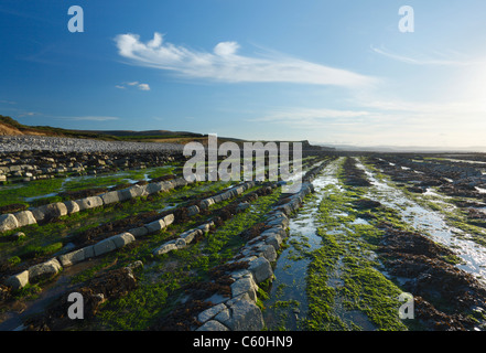 Limestone Ridges at Kilve Beach in The Quantocks. Somerset. England. UK. Stock Photo