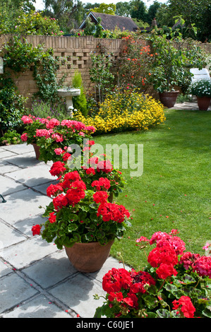 Garden with red geraniums in flowerpots, Bray, Berkshire, England, UK Stock Photo