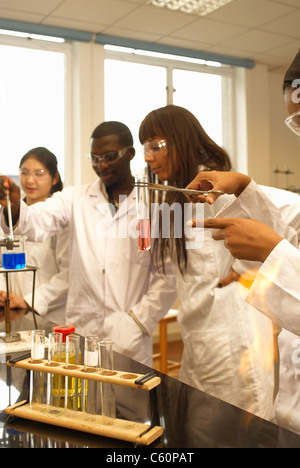 Scientist examining test tube in lab Stock Photo