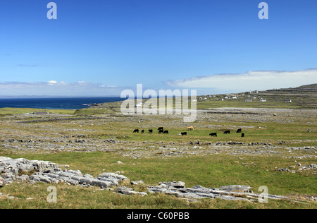 Karst landscape around Dun Aonghasa, Inishmore, the largest of the Aran Islands, Ireland Stock Photo