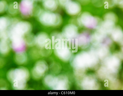 Abstract bright green photo background - white spots Stock Photo