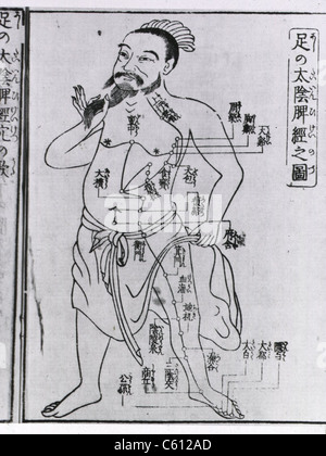 Bearded figure with acupuncture points and meridians labeled with Japanese characters. From a medical text published in Osaka, Japan, 1805. Stock Photo