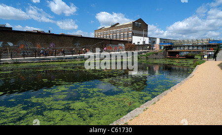 Lea Valley Walk and cyclists along the River Lea Navigation canal in East London England UK   KATHY DEWITT Stock Photo