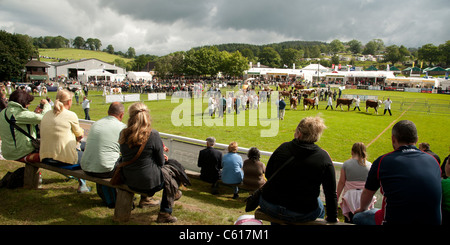 General view of people attending the Royal Welsh Agricultural Show, Builth Wells, Wales, 2011 Stock Photo