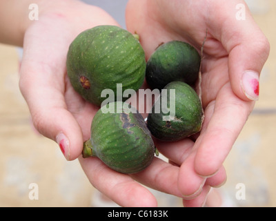 Childs little girls hands with four figs closeup Stock Photo
