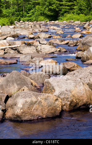 Wooded stream with many rocks and babbling water Stock Photo