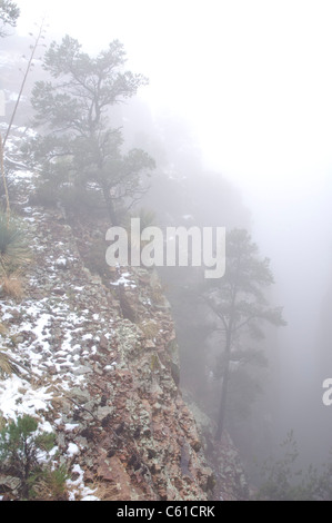 Winter comes to the Parker Creek Cliffs area northeast of Roosevelt Lake area, AZ. Stock Photo