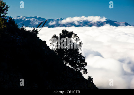 Winter comes to the Parker Creek Cliffs area northeast of Roosevelt Lake area, AZ. Stock Photo