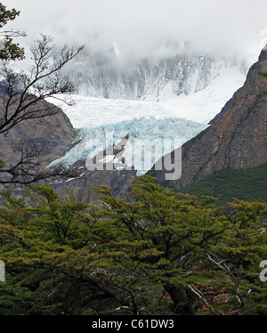 Piedras Blancas Glacier, Mt.Fitzroy, Argentina Stock Photo