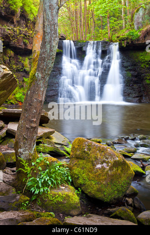 Goit stock waterfall on Harden beck near Cullingworth, West Yorkshire. Stock Photo