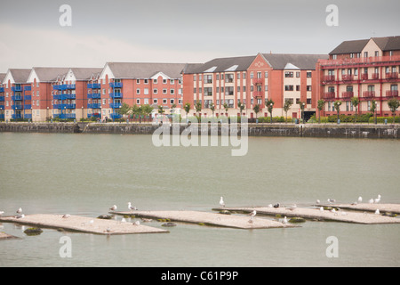 New apartment blocks at Preston Docks, Lancashire, UK. Stock Photo