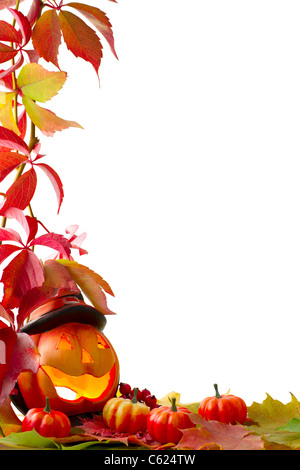 Autumn display with pumpkin and leaves isolated on white background ...