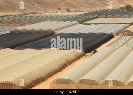 Israel, Arava, greenhouses in Moshav Ein Yahav Stock Photo