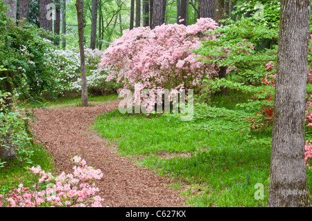 Azalea Overlook Garden at Callaway Gardens in Pine Mountain, Georgia. Stock Photo