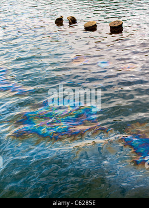 Oil slick from USS Arizona Battleship wreck, sunk in 1941 Pearl Harbour