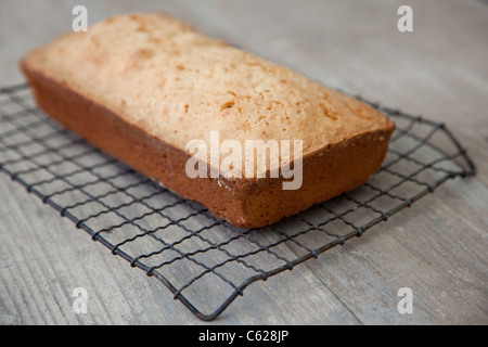 freshly baked pound cake on cooling rack Stock Photo