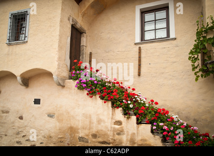 Staircase in mediterranean Style with Flowers, taken in Italy Stock Photo