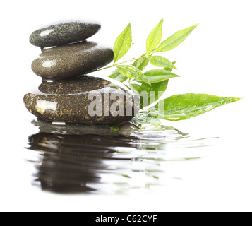 Stones in water with leaves Stock Photo