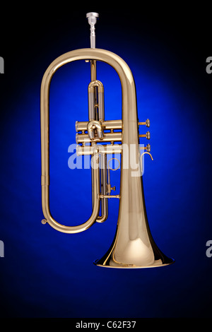 A gold brass trumpet flugelhorn or flugalhorn isolated against a spotlight blue background. Stock Photo