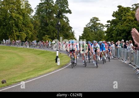 London Surrey Cycle Classic road race goes through Bushy Park, London, UK, 14/08/2011 Stock Photo