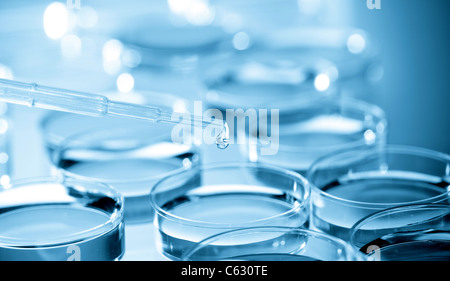 Pipette adding fluid to one of several test tubes Stock Photo