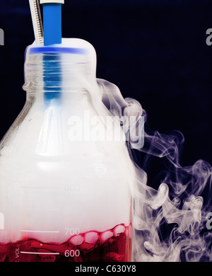 Red liquid boiling inside a flask Stock Photo
