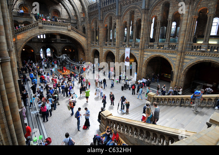 Natural History Museum, London, Britain, UK Stock Photo