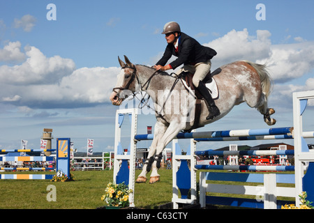 International show jumping event with horse and jockey jumping over jumps at Anglesey Show in Mona showground. North Wales, UK Stock Photo