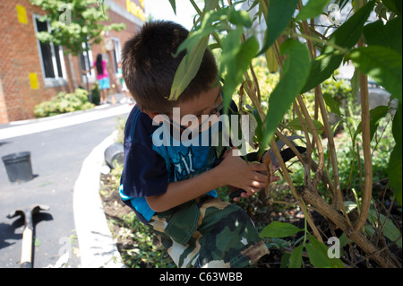 Students, family, friends and volunteers participate in a work day at a school in New York Stock Photo