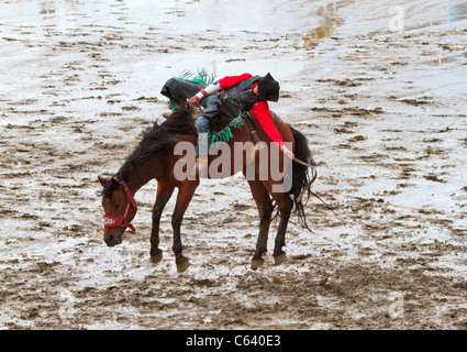 Bareback riding event, Calgary Stampede, Alberta, Canada. Stock Photo