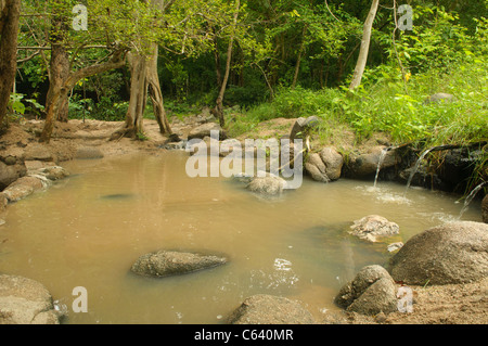 mineral hot spring pool at the Tha Pai Hot Springs Park in Pai, Thailand Stock Photo