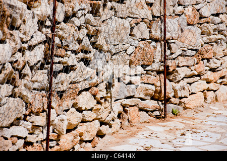 Lizard,Bearded Dragon,Pogona Vitticeps,Symi,Greek Dodecanese Island,Greece Stock Photo