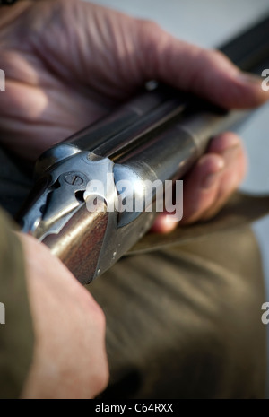 old mans hands holding shotgun Stock Photo