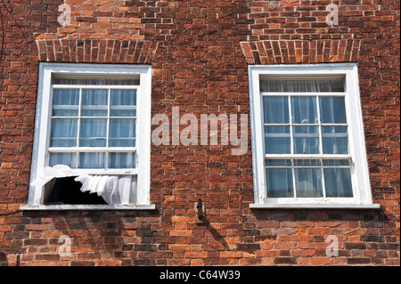 Two sash windows in the brick wall of a Georgian house. Both windows are partly open and a net curtain is billowing out of one Stock Photo