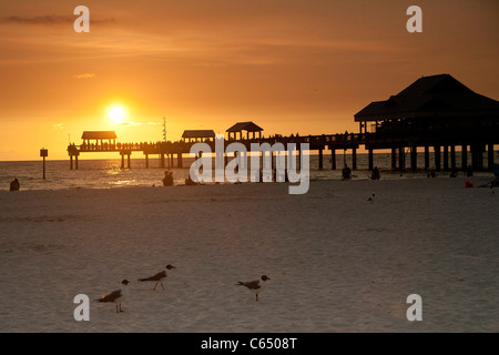 Sunset at Pier 60 at Clearwater Beach, FL Stock Photo