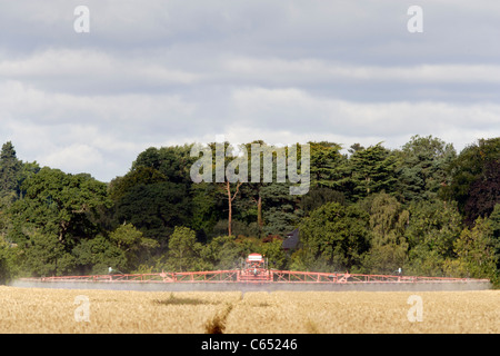 A tractor spraying cereal crops in a field in Perthshire, Scotland Stock Photo
