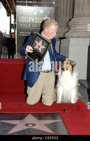 Lassie - Hollywood Star Walk - Los Angeles Times