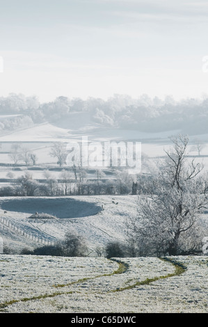 Track leading through a hoar frost covered field in rural England during Winter. Stock Photo