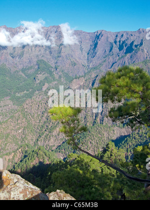 Nationalpark Caldera de Taburiente, National park Caldera de Taburiente Stock Photo